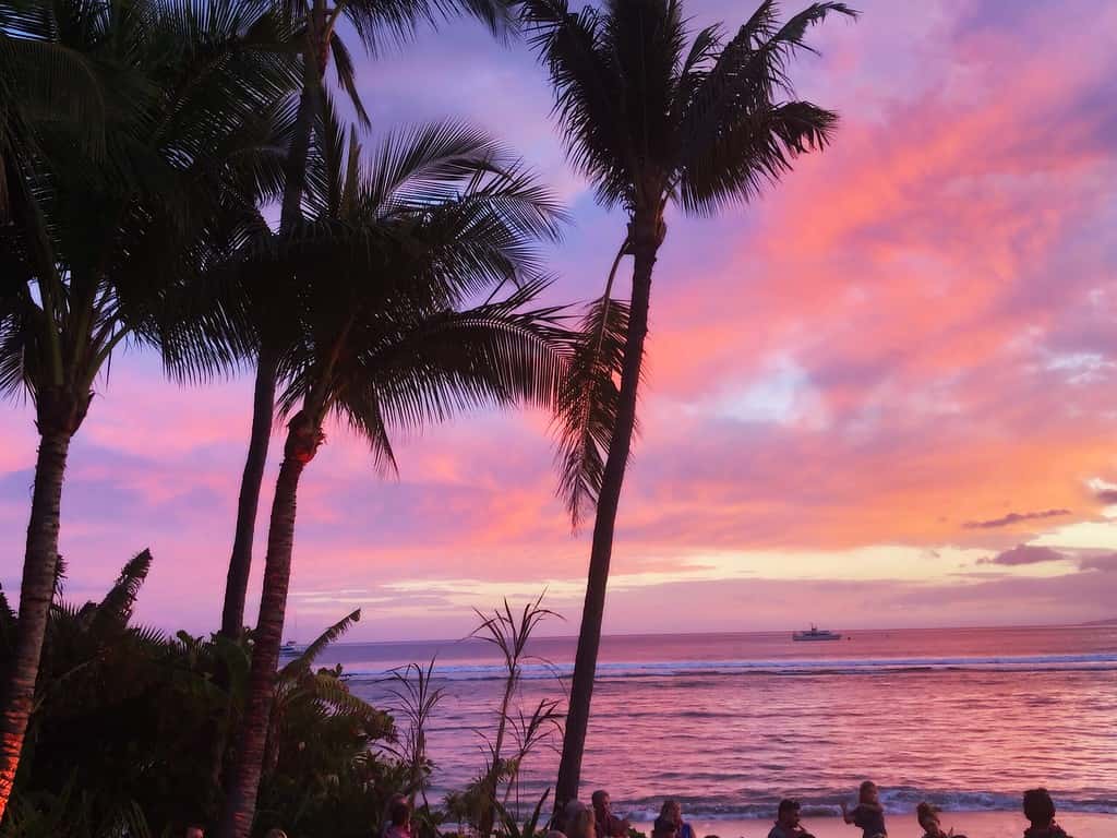 Maui Sunset over the ocean with palm trees and beautiful orange, pink and yellows.