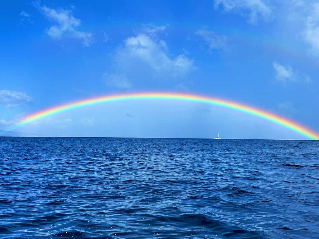 Maui Rainbow on the Pacific Ocean