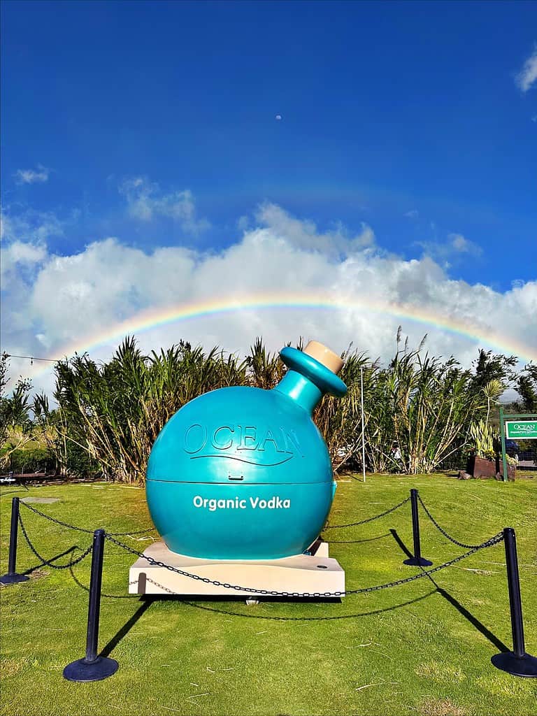 Ocean Vodka on Maui with sugar cane and rainbow 