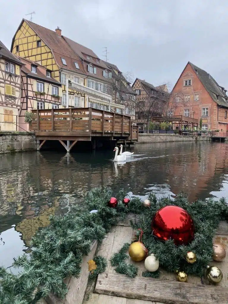 Flat bottom boat ride in Little Venice was a great way to see the timbered buildings up close. Swans are common throughout the Alsace region.