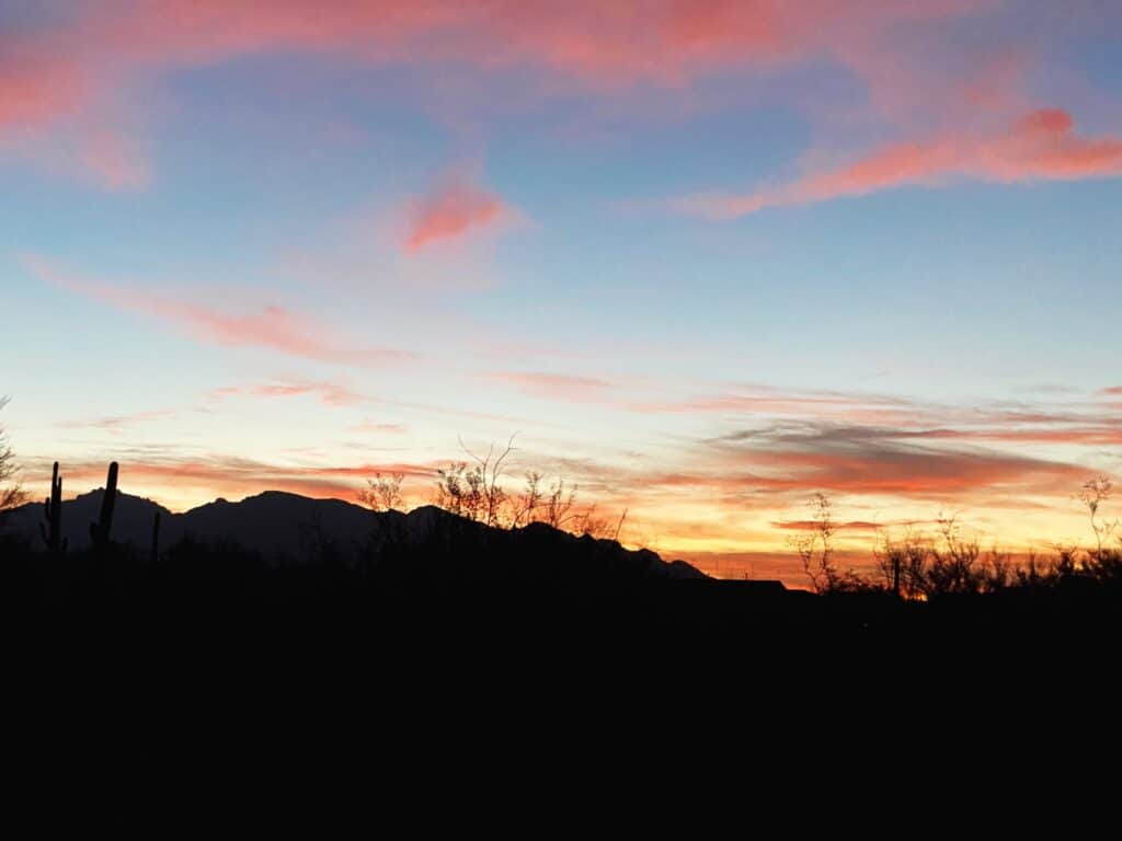 A serene sunset with vibrant streaks of pink and orange across the sky, silhouetting the distinctive outline of saguaro cacti and desert foliage against the darkening mountains.