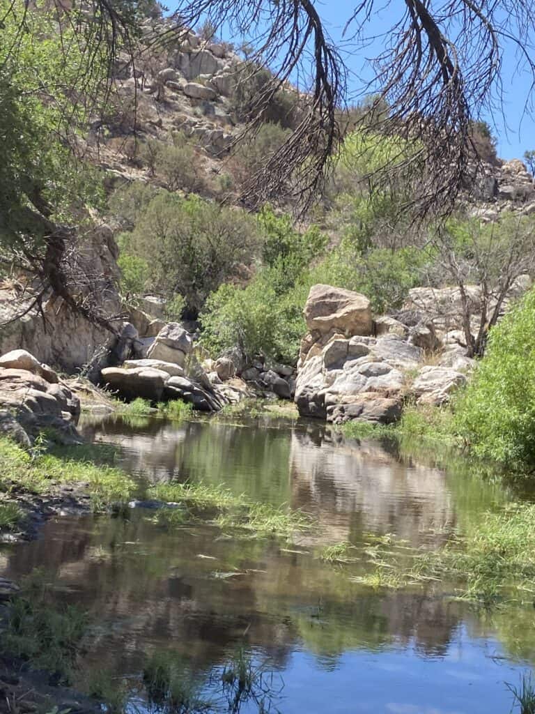 A tranquil creek meandering through a rocky desert landscape, with its calm waters reflecting the surrounding greenery and boulders under a bright, sunlit sky.