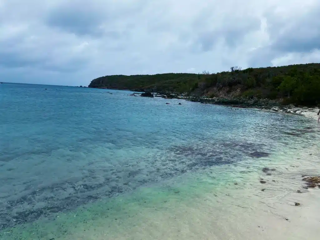 A calm, clear ocean shoreline with green vegetation in the background under a cloudy sky.