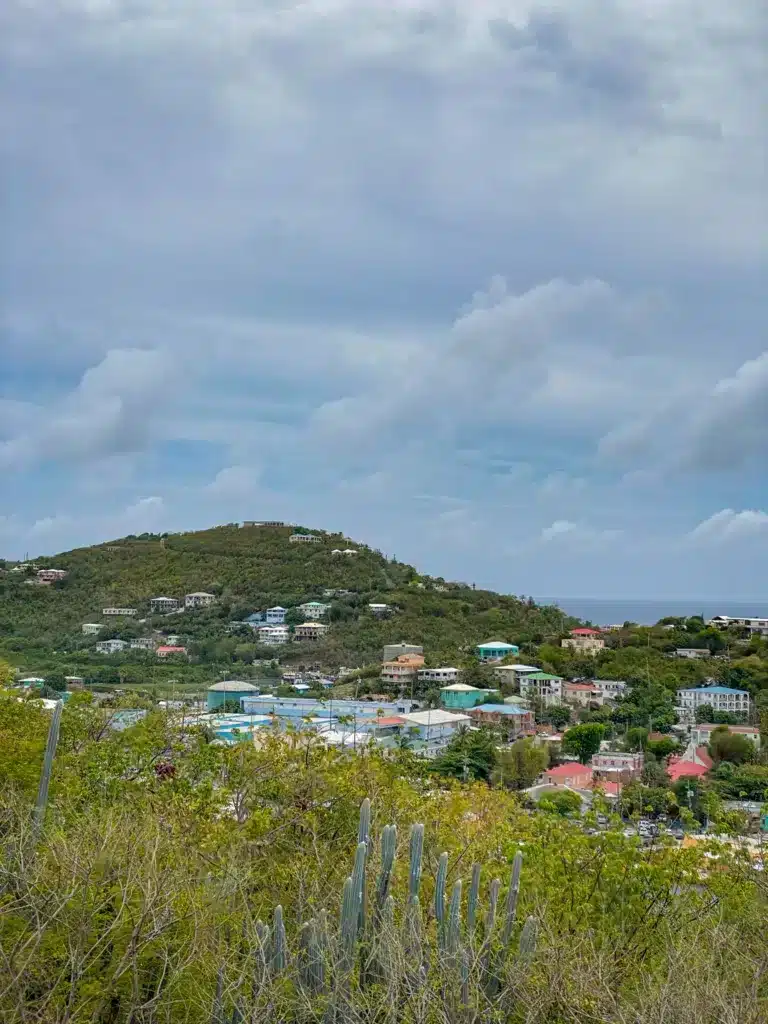 A hillside community with houses scattered among greenery and a cloudy sky backdrop. Cacti and vegetation are in the foreground.
