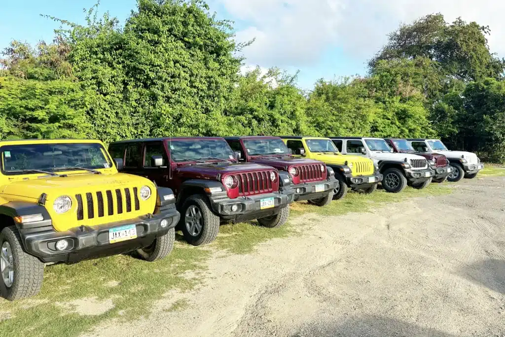 A row of seven parked Jeep Wrangler vehicles in various colors including yellow, maroon, and silver, situated on a grassy area next to a line of trees.