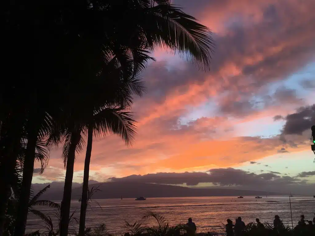 Sunset view with palm trees silhouetted against a colorful sky, boats on the water, and people standing near the shoreline.