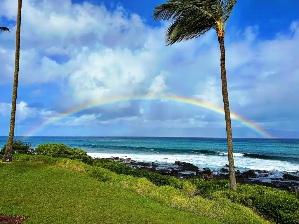 A vibrant rainbow arcs across a partly cloudy sky above an ocean shoreline, framed by two palm trees, with green grass in the foreground.