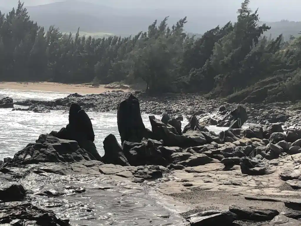 A rocky shoreline with large dark rocks protruding from the water; trees and hills are visible in the background under an overcast sky.