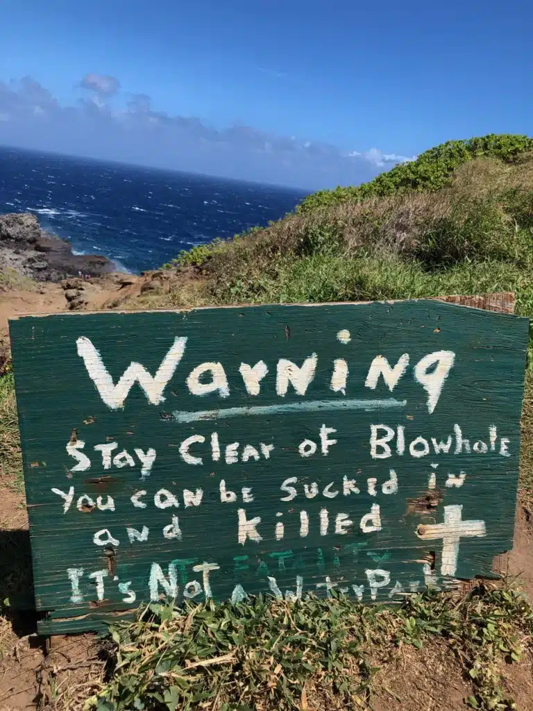 Handwritten sign on a grassy cliff warns, "Stay Clear of Blowhole. You can be sucked in and killed. It's not a waterpark," with the ocean in the background.