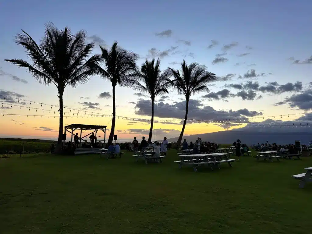 A grassy outdoor area with people seated at picnic tables, palm trees, string lights, and a small stage at sunset.