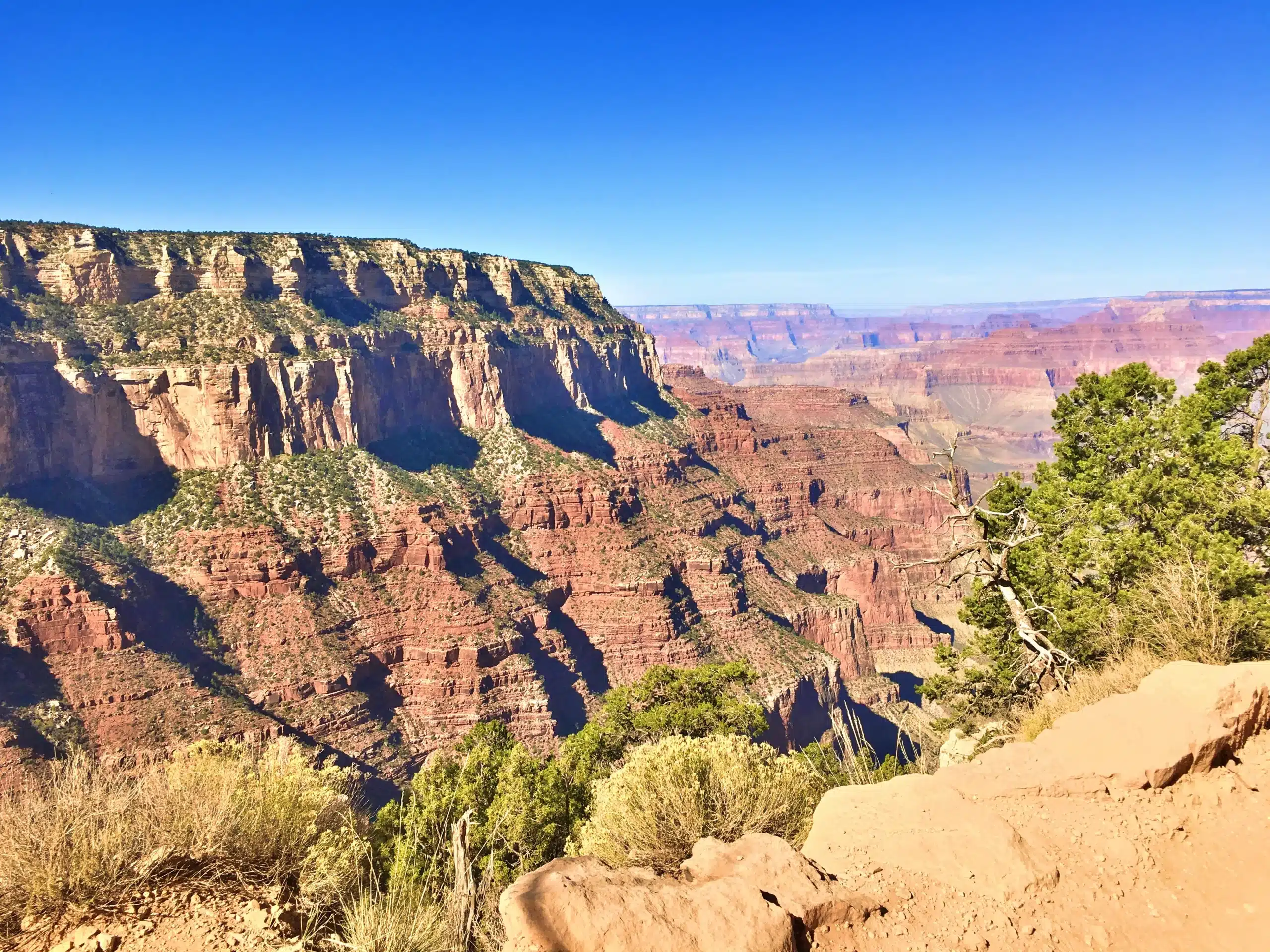 View of the Grand Canyon with red rock formations, steep cliffs, and sparse vegetation under a clear blue sky.