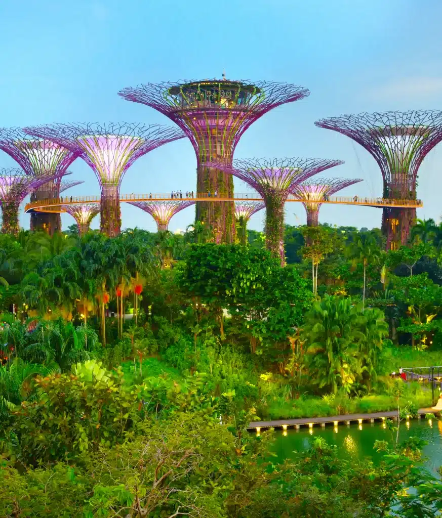 Supertree Grove at Gardens by the Bay, Singapore, featuring large tree-like structures with vertical gardens and a skyway, surrounded by lush greenery.