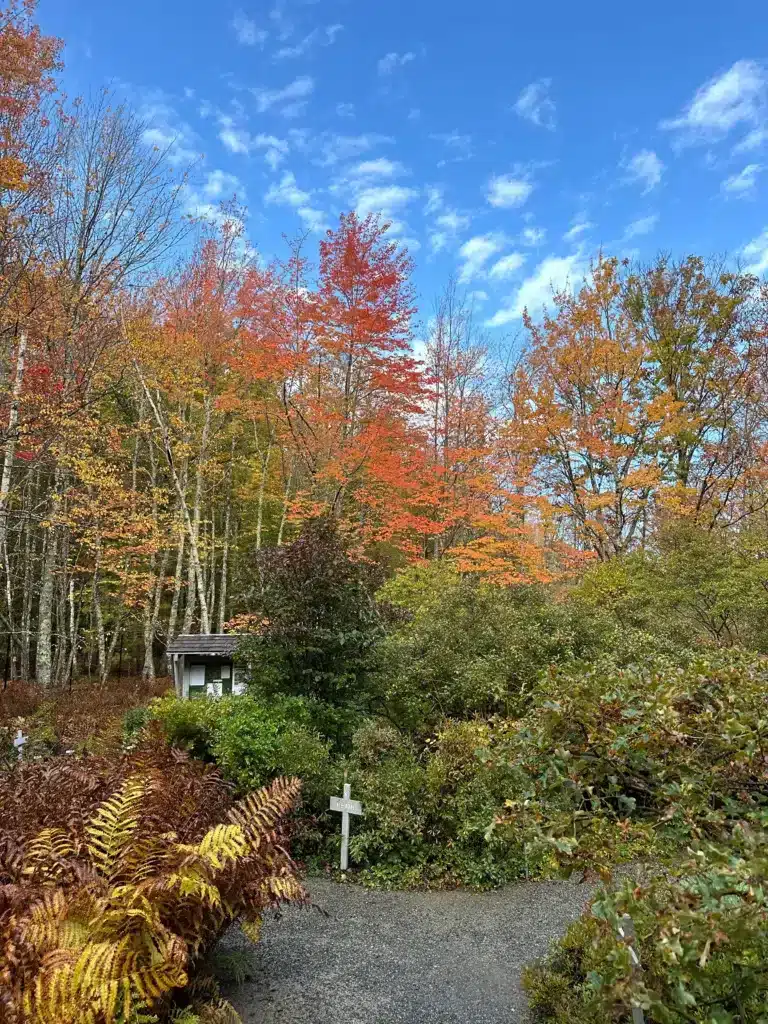 A small cross stands along a path in Acadia National Park, surrounded by lush greenery and beneath a canopy of vibrant autumn trees against a bright blue sky.