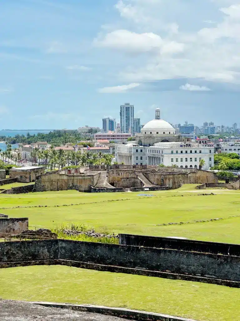 View of a cityscape featuring a large white domed building surrounded by modern structures, grassy foreground, and blue sky.