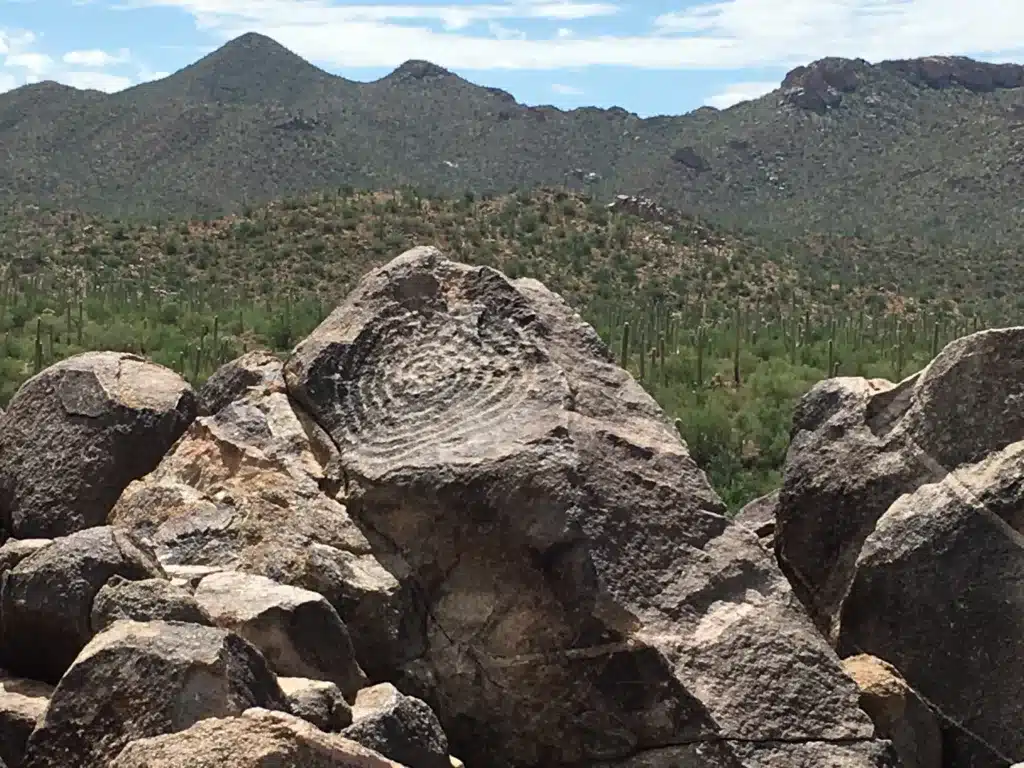 Explore petroglyphs on a rock with desert mountains and cacti in the background, a perfect spot for day trips from Tucson.