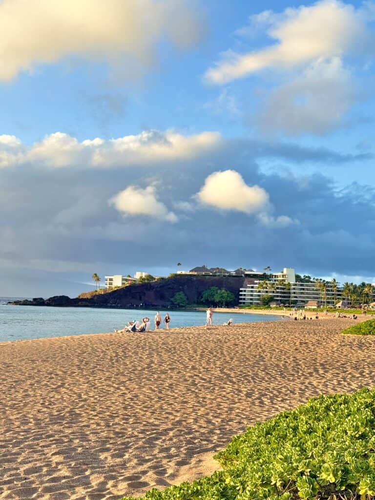Beach scene with people walking and sitting on the sand. Ocean waves and grassy area in the foreground. Buildings and clouds in the background under a blue sky.