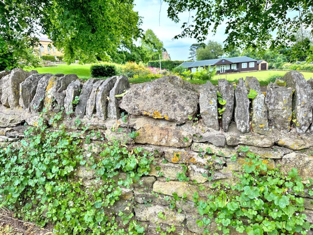 Dry stone wall with green ivy growing on it, trees overhead, and a house with a large green lawn in the background—scenery reminiscent of the best Cotswold towns.