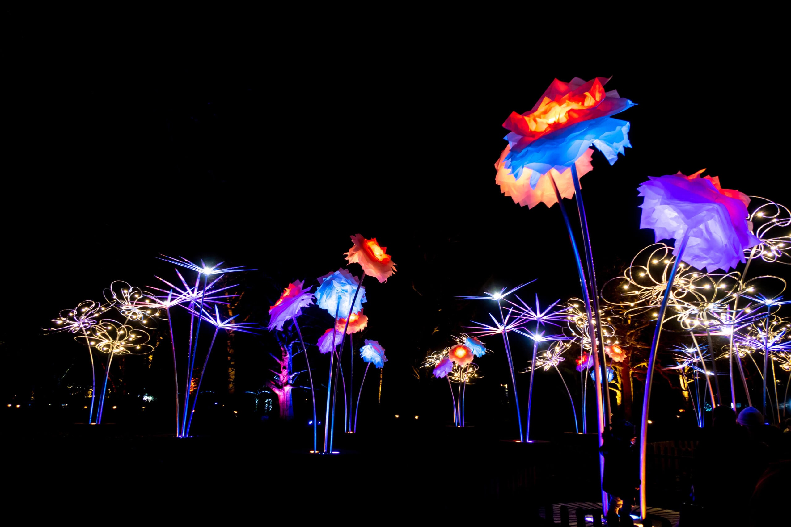 Illuminated flower sculptures with vibrant colors and glowing stems are displayed at night against a dark background, evoking the enchanting charm of Christmas lights in London.