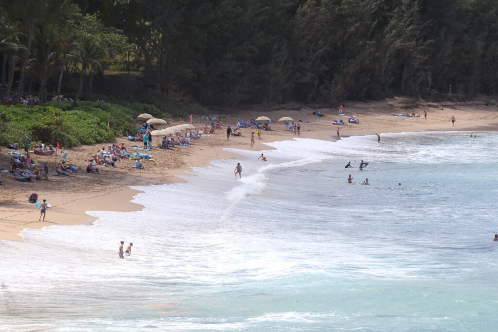 Crowds of people relax on the sandy shore of DT Fleming Beach near the edge of a forest. Some are sunbathing under umbrellas, while others enjoy snorkeling, swimming, or strolling along the shoreline.