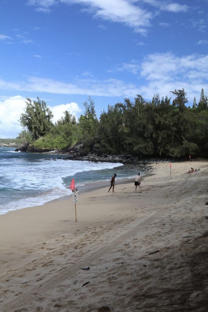 People walk and relax on a sandy beach near the ocean at DT Fleming Beach, with red warning flags and a "no swimming" sign posted along the shore. Trees and greenery border the area under a partly cloudy sky, limiting snorkeling today.