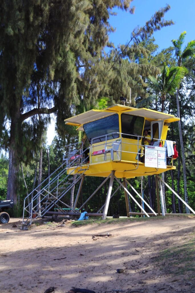 A yellow lifeguard tower stands on metal stilts beside a sandy area at DT Fleming Beach, surrounded by tall trees and greenery under a clear blue sky—an inviting spot for snorkeling.