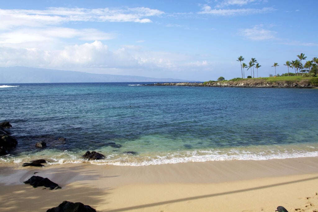 Sandy beach with clear turquoise water, small rocks, and palm trees along the shoreline under a partly cloudy sky—perfect for Kapalua Bay snorkeling adventures.
