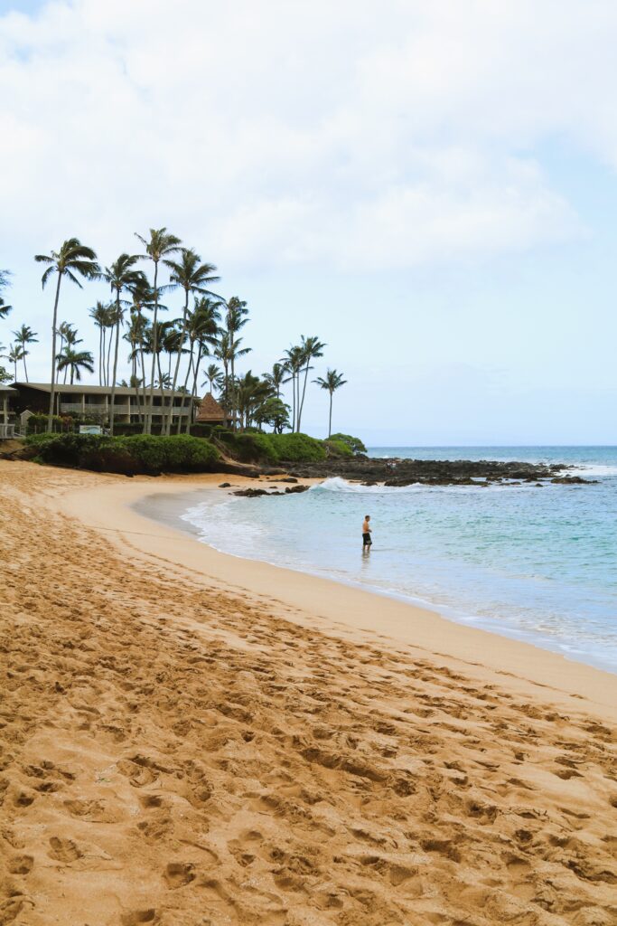 A person stands at the shoreline of Napili Bay, Maui, with palm trees, gentle waves, and a partly cloudy sky in the background—an inviting scene for snorkeling adventures.