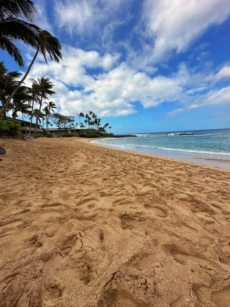 A sandy beach with palm trees under a partly cloudy blue sky, with gentle ocean waves reaching the shore—perfect for Napili Bay snorkeling on Maui.