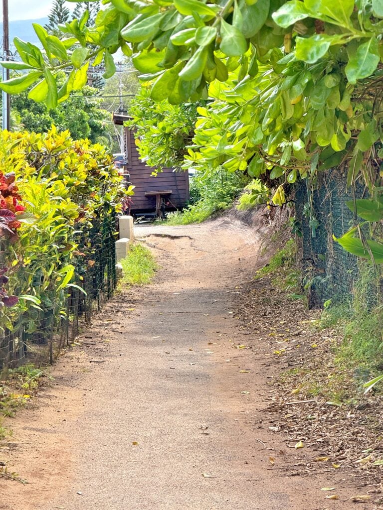 A narrow dirt path bordered by green plants and fences evokes the charm of Napili Bay Snorkeling Maui, leading to a small wooden structure partially visible in the background.