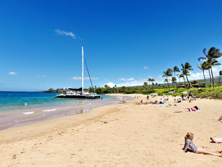 Catamaran anchored near the shore as people relax and sunbathe on a sandy beach lined with palm trees under a clear blue sky.